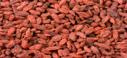 Las bayas de Goji